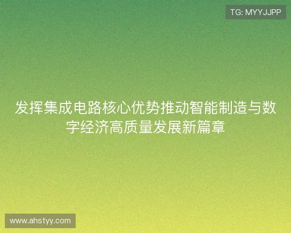 发挥集成电路核心优势推动智能制造与数字经济高质量发展新篇章